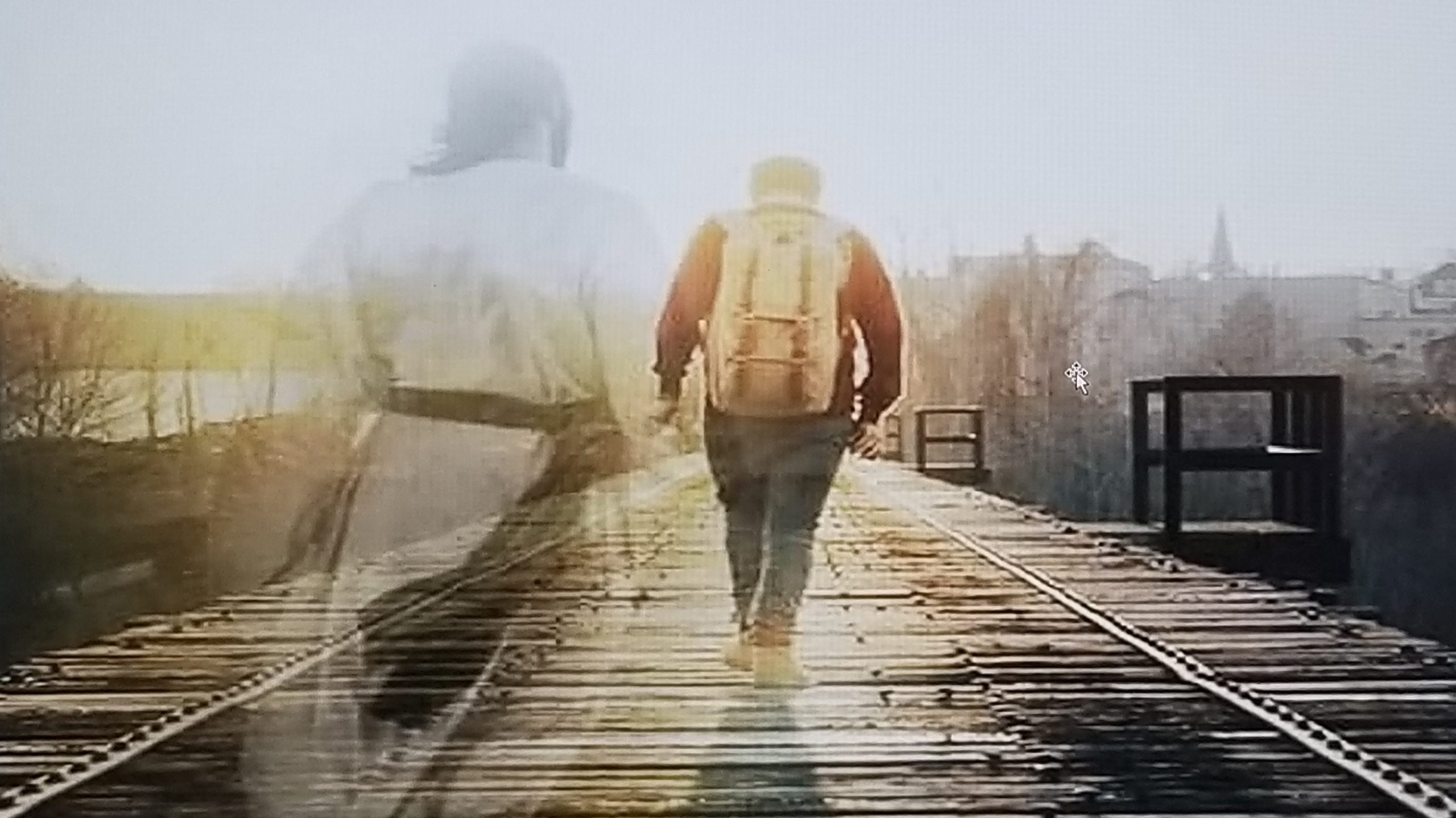 You are currently viewing Who Walks With Us Through The Storms Of Life?