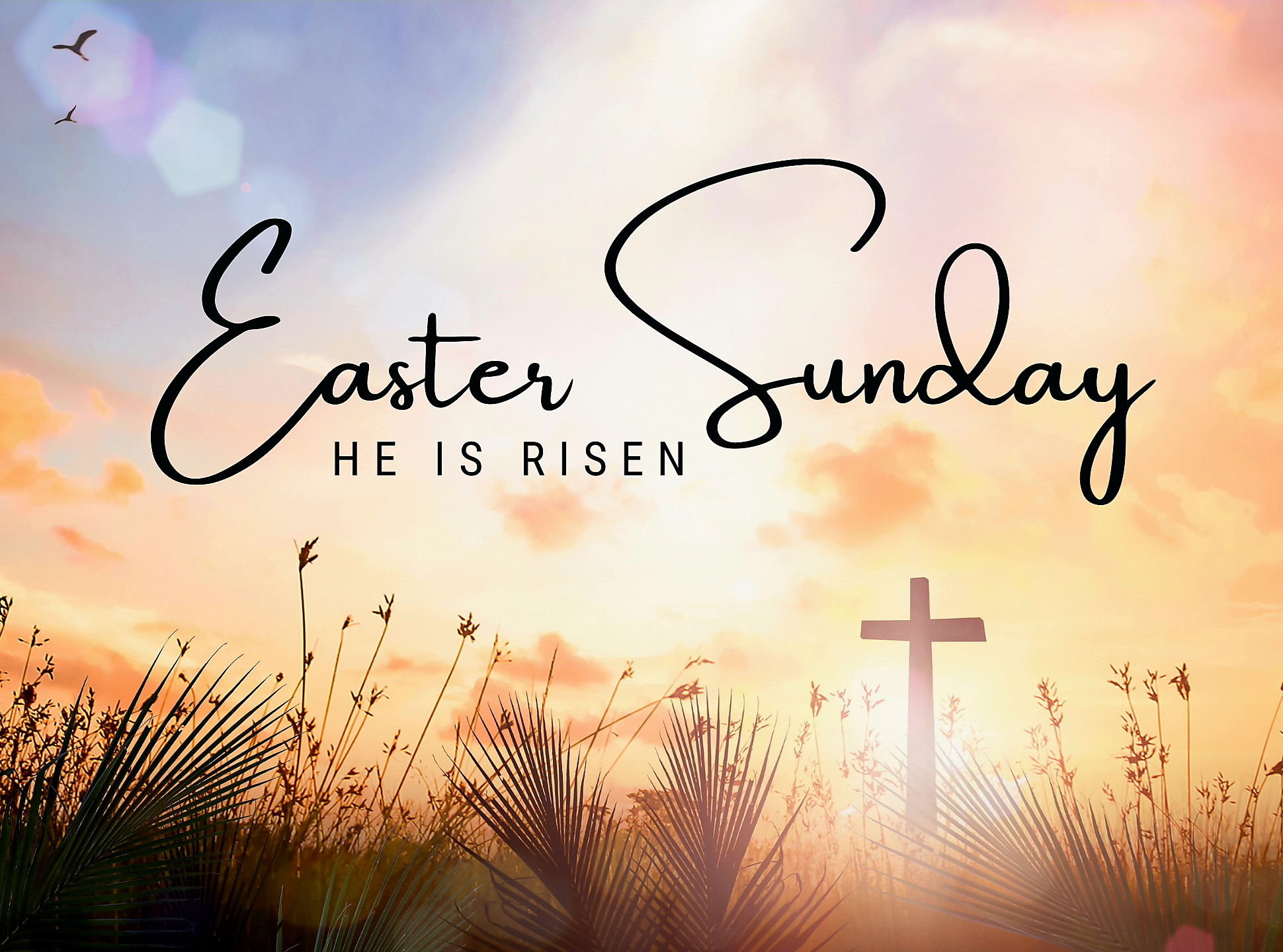 Easter Sunday - 